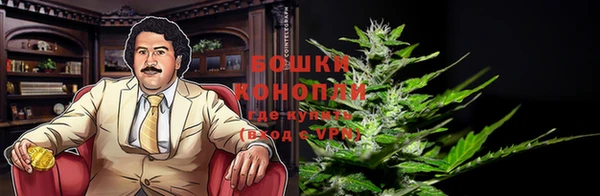 эйфоретик Горняк