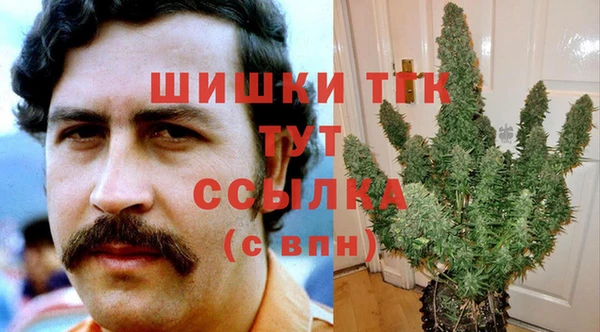 эйфоретик Горняк